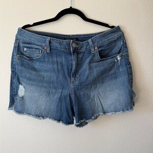 EUC Stitch Fix Level 99 Adelynn Side Slit Denim Shorts size 16 (waist 33)